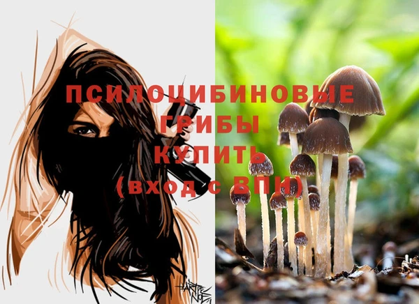 герыч Снежногорск