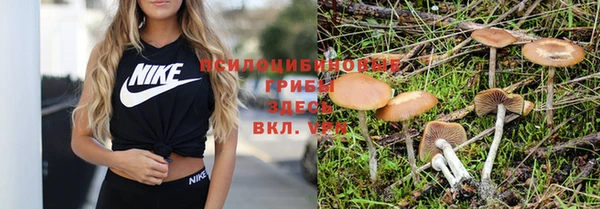 ешки Каменка