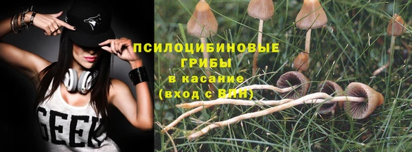 герыч Снежногорск