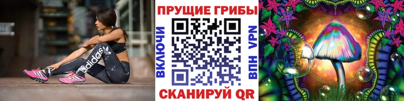 Галлюциногенные грибы мицелий  MEGA ссылка  Сусуман 